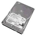 IBM 43X0802 300 GB Hard Drive - 3.5" Internal - SAS (3Gb/s SAS)