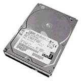 IBM 43X0802 300 GB Hard Drive - 3.5