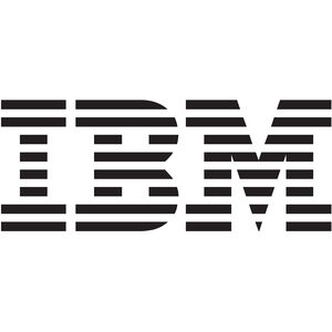 IBM 300 GB SAN Hard Drive - Internal - Fibre Channel