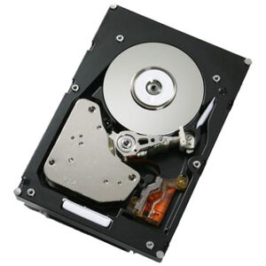 IBM 146 GB Hard Drive - 2.5