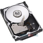 IBM 42D0632 146 GB Hard Drive - 2.5" Internal - SAS (6Gb/s SAS)