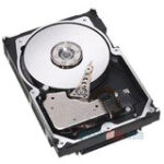 IBM 146 GB Hard Drive - 2.5" Internal - SAS (6Gb/s SAS)