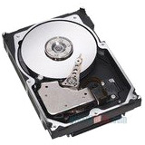 IBM 146 GB Hard Drive - 2.5