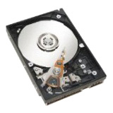 IBM 49Y1876 1 TB Hard Drive - 3.5