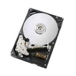 IBM-IMSourcing 42D0782 2 TB Hard Drive - 3.5" Internal - SATA (SATA/300)