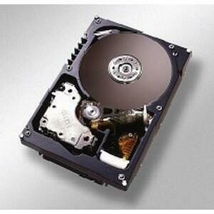 IBM 146.80 GB SAN Hard Drive - 3.5