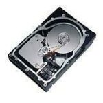 IBM 73.40 GB Hard Drive - 3.5" Internal - SCSI (Ultra320 SCSI)