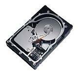 IBM 73.40 GB Hard Drive - 3.5