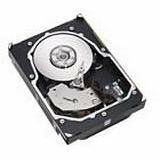 IBM 300 GB SAN Hard Drive - 3.5