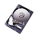 IBM 73.40 GB Hard Drive - 3.5