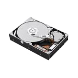 IBM 250 GB Hard Drive - Internal - SATA (SATA/300)